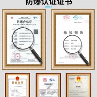 思誠 防爆排風(fēng)扇BFAG-600防爆風(fēng)機(jī)220V/380V