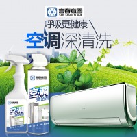言春意雪空調(diào)清洗劑 空調(diào)內(nèi)機(jī)清洗專用除菌去異味